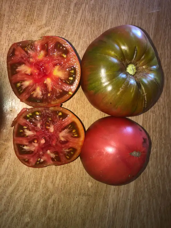 Tomaten: Big Cheef