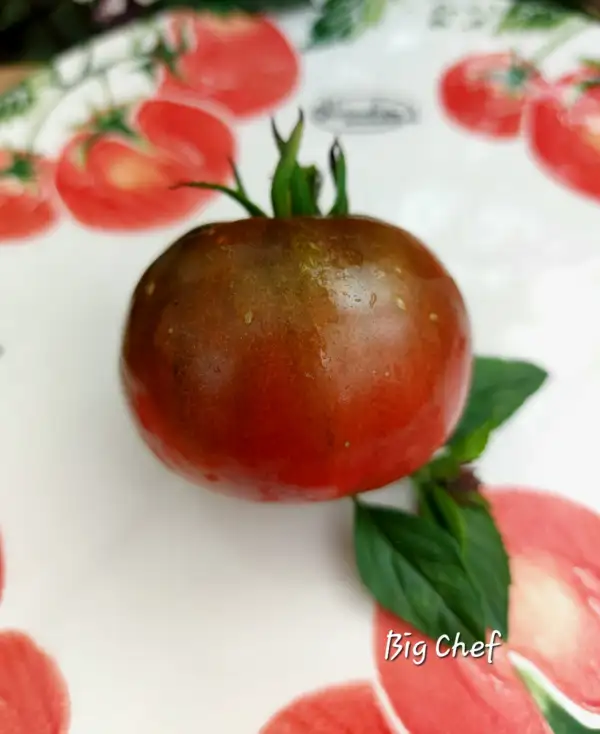 Tomaten: Big Cheef