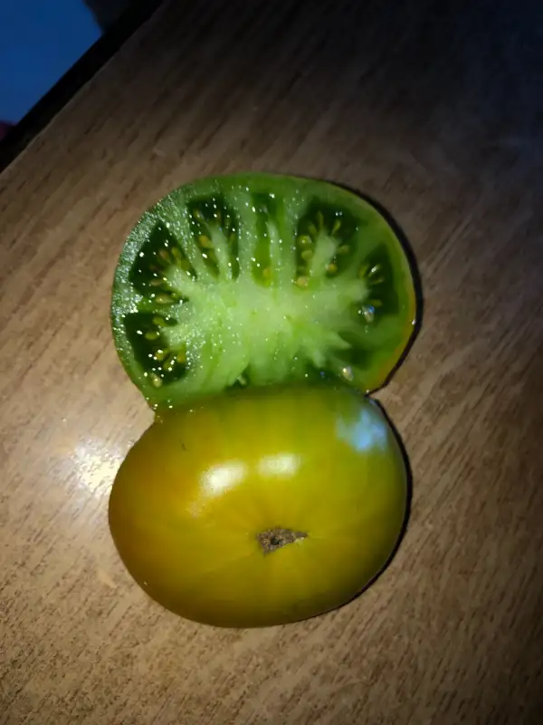 Tomaten: Big Green Dwarf