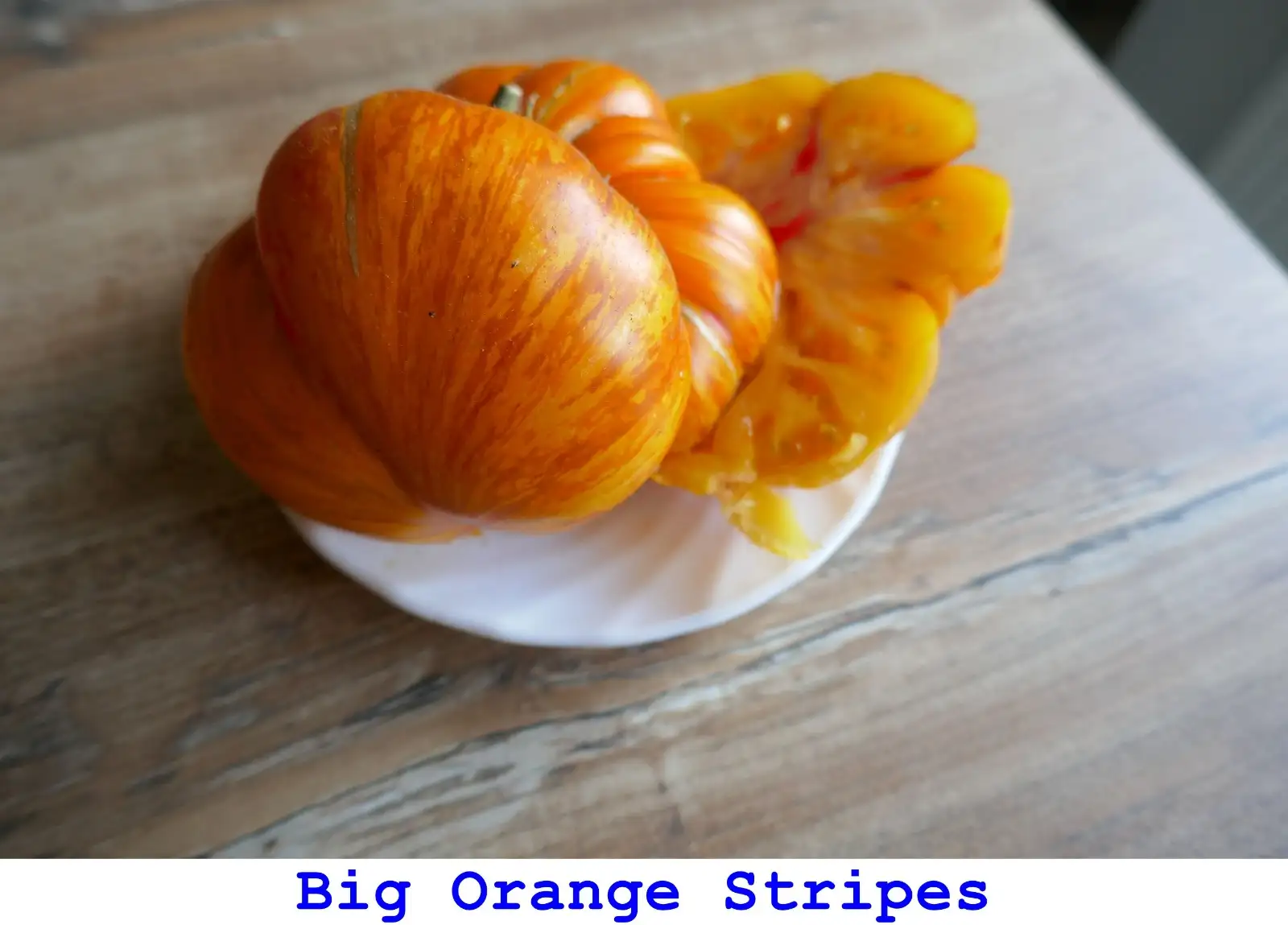Tomaten: Big Orange Stripes