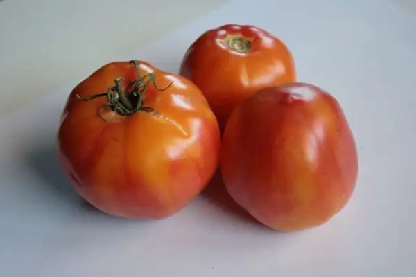 Tomaten: Big Rainbow