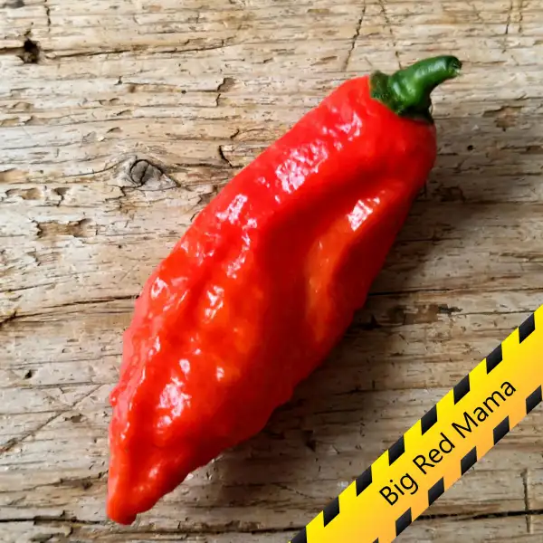 Chili: Big Red Mama