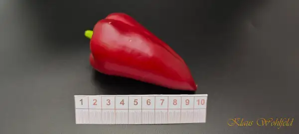 Paprika: Big Smarty