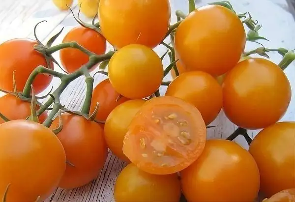 Tomaten: Big Sungold Select