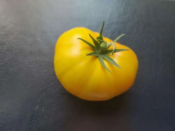 Tomaten: Big Yellow Zebra