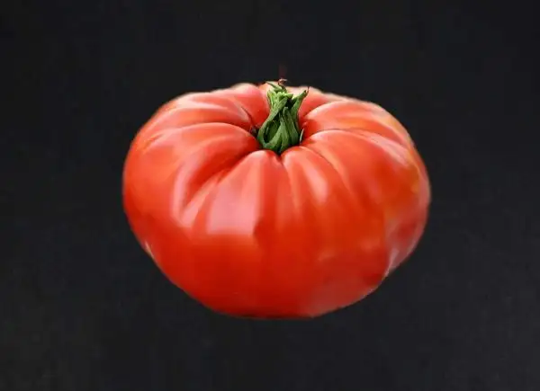 Tomaten: Big Zac