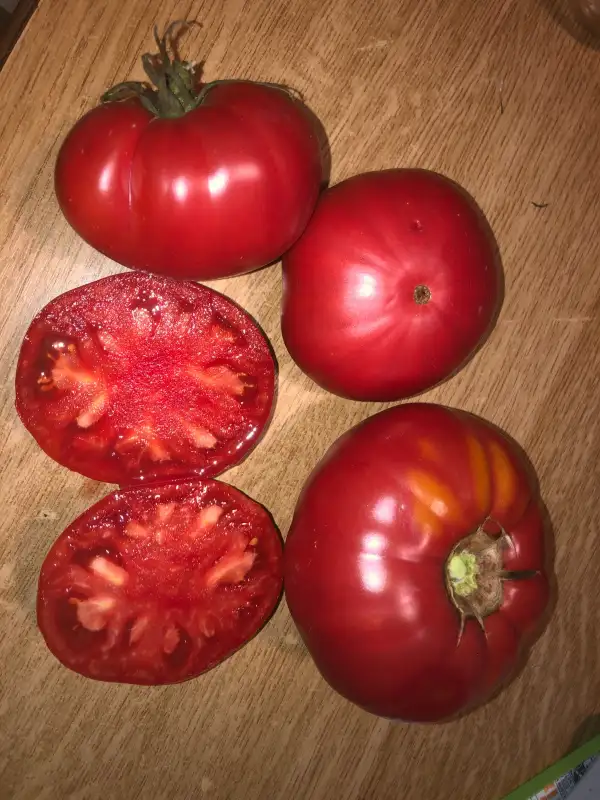 Tomaten: Bijskiy Rozan