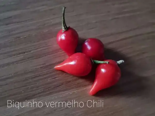 Chili / Paprika: Biquinho vermelho