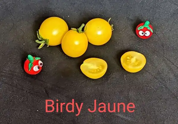 Tomaten: Birdie Jaune