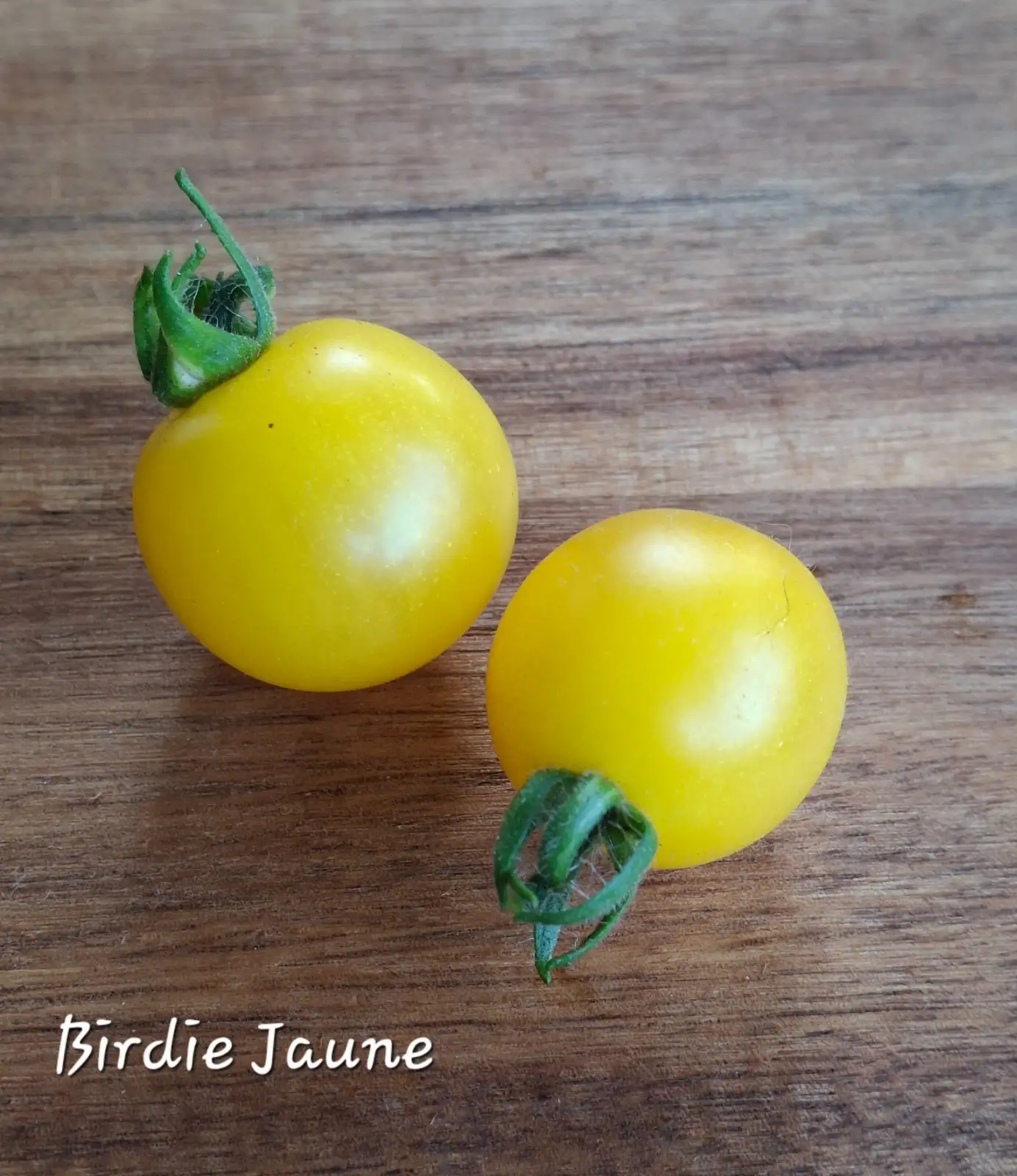Tomaten: Birdie Jaune (micro)