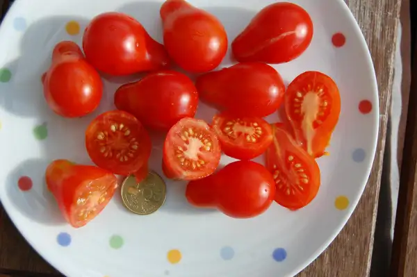 Tomaten: Birnentomate