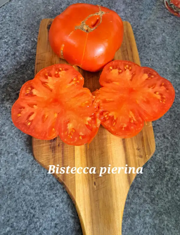 Tomaten: Bistecca pierina