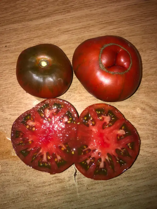 Tomaten: Black Altaï