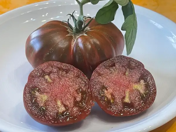 Tomaten: Black and Red Boar