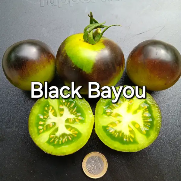 Tomaten: Black Bayou