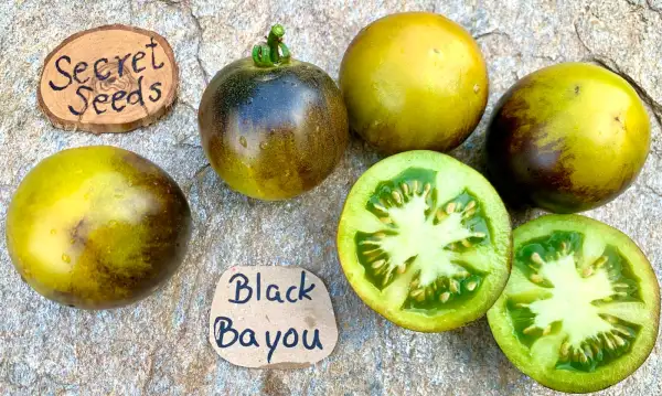 Tomaten: Black Bayou