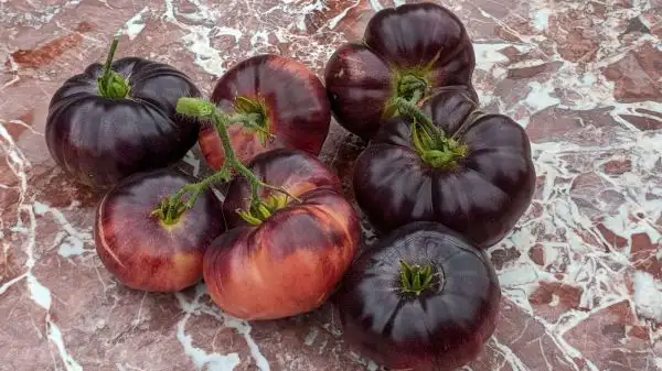 Tomaten: Black Beef