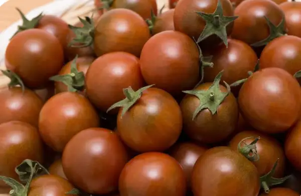 Tomaten: Black Cherry