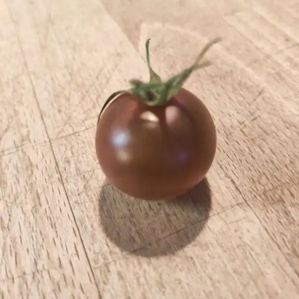 Tomaten: Black Cherry