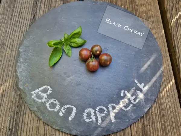 Tomaten: Black Cherry