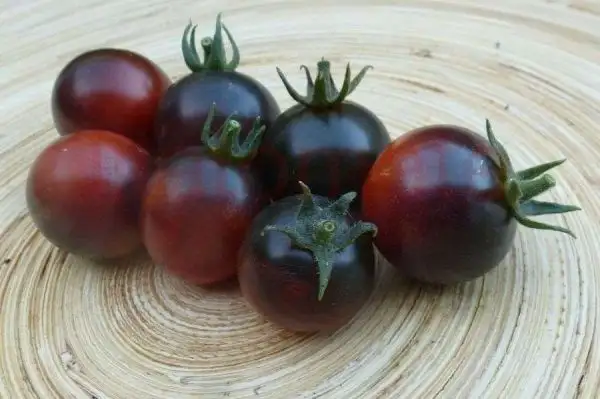 Tomaten: Black Eagle