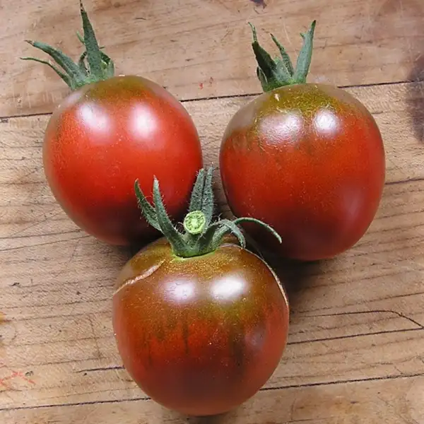 Tomaten: Black Ethopian