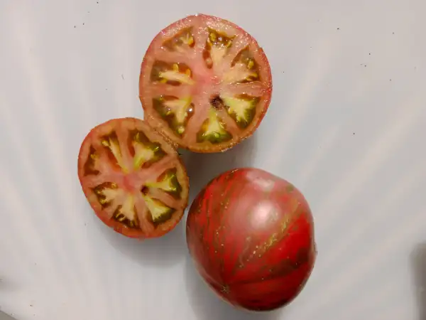 Tomaten: Black fire
