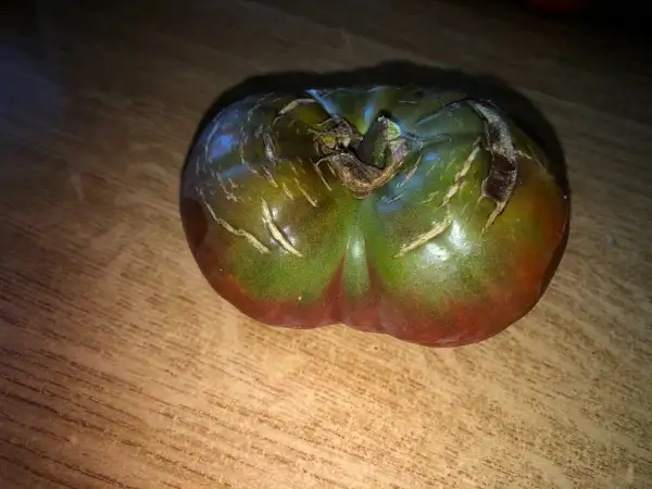 Tomaten: Black from Tula