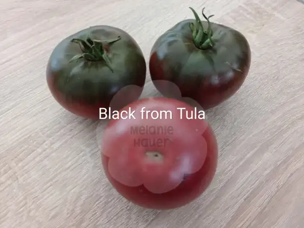 Tomaten: Black from Tula