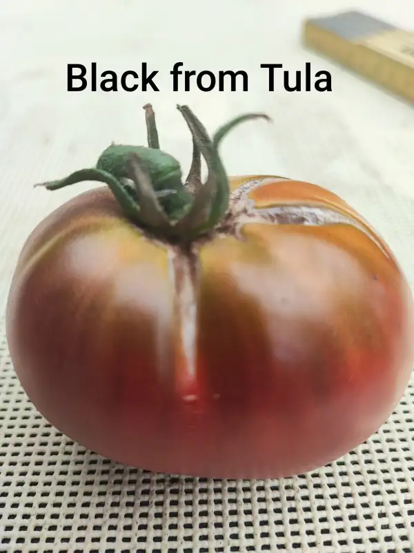 Tomaten: Black from Tula