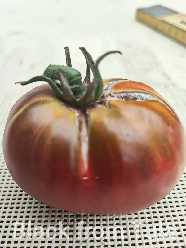 Tomaten: Black from Tula
