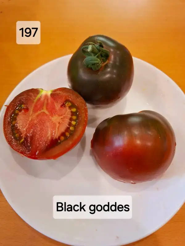 Tomaten: Black goddes