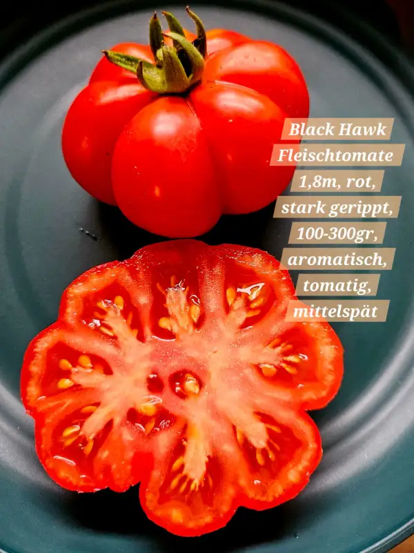 Tomaten: Black Hawk