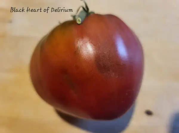 Tomaten: Black Heart of Delirium