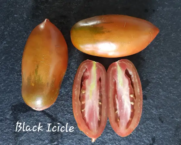 Tomaten: Black Icicle