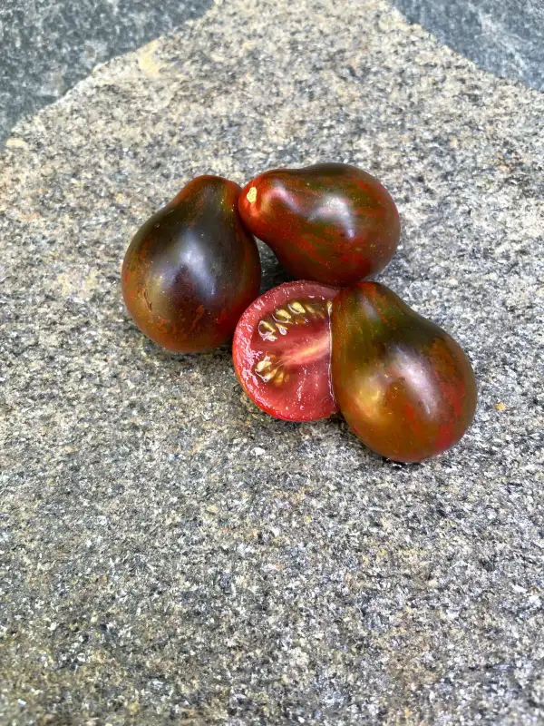 Tomaten: Black Keyes