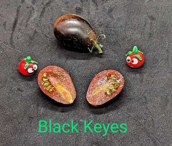 Tomaten: Black Keyes