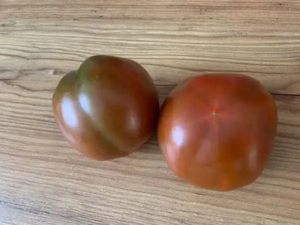 Tomaten: Black Krim