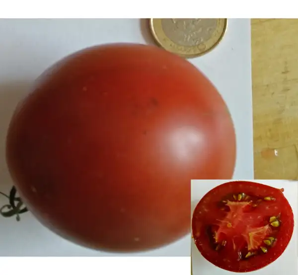 Tomaten: Black Krim