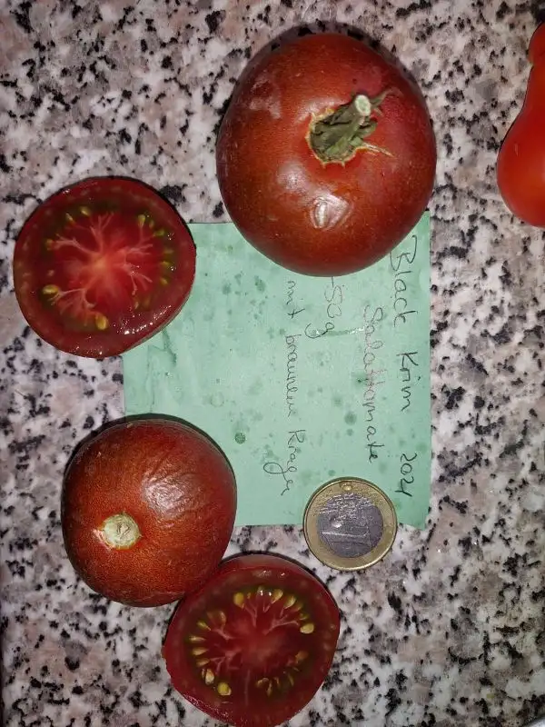 Tomaten: Black Krim (Salattomate)