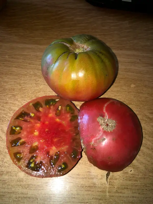 Tomaten: Black Mamba