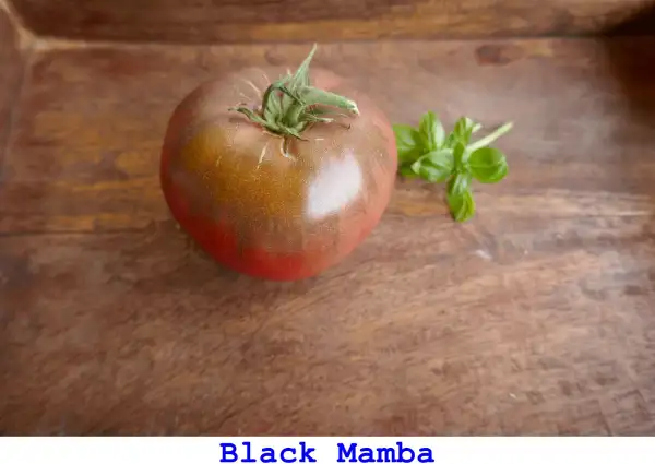 Tomaten: Black Mamba