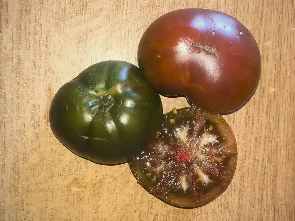 Tomaten: Black Marquise