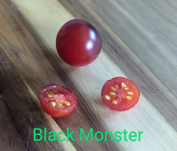 Tomaten: Black Monster