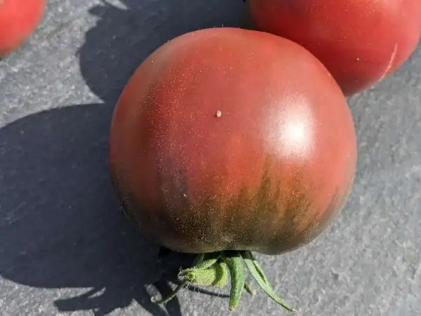 Tomaten: Black Mystery