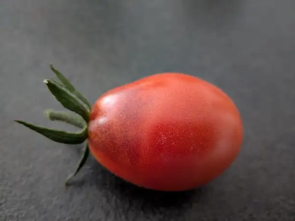 Tomaten: Black Plum