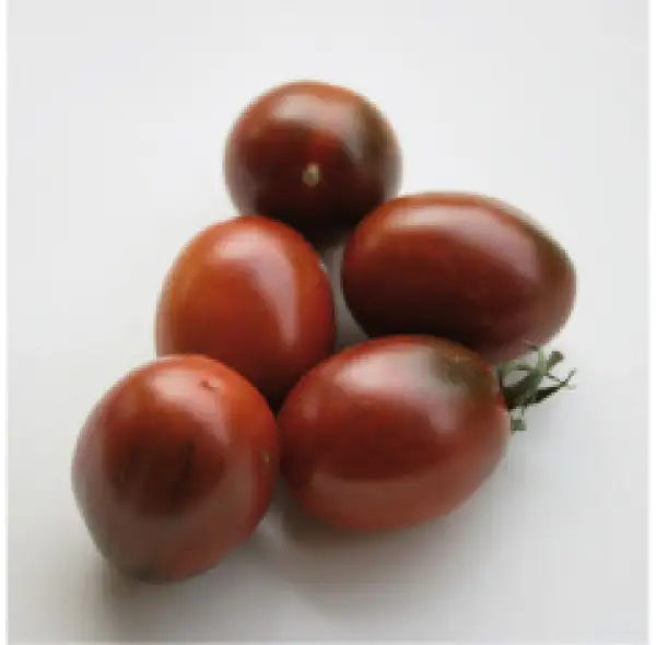 Tomaten: Black Plum