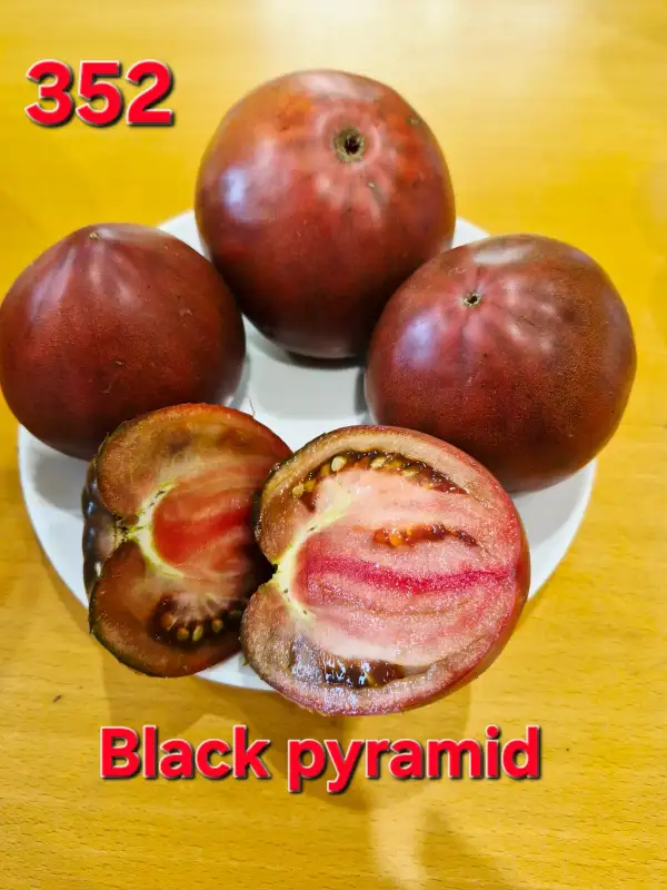 Tomaten: Black pyramid