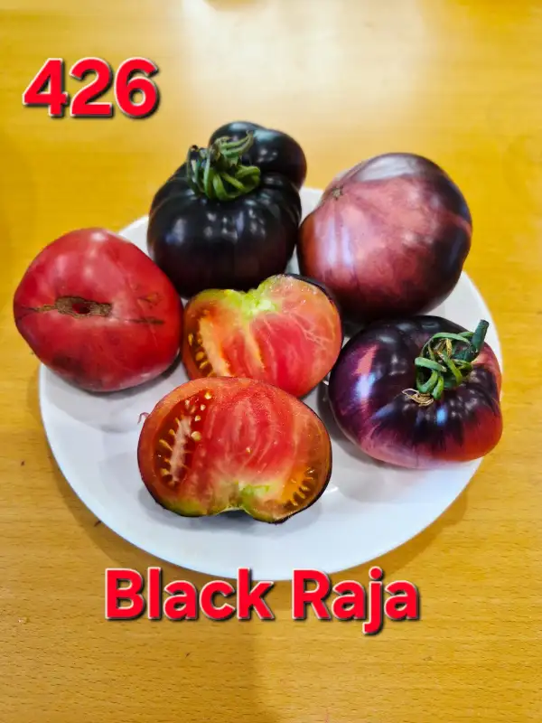 Tomaten: Black Raja