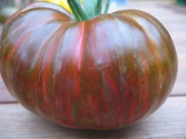 Tomaten: Black & Red Boar